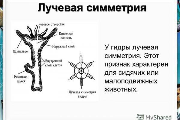 Омг сайт официальный